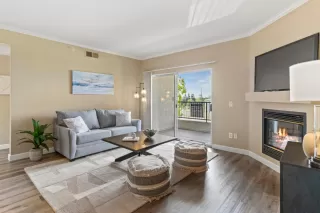 Photo #4: 225107372 Listing