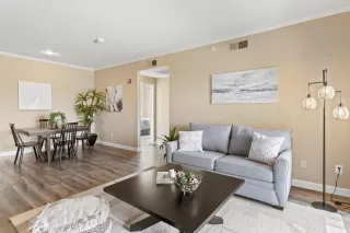 Photo #5: 225107372 Listing