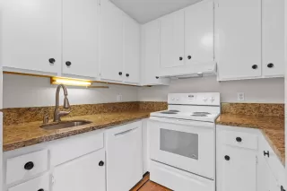 Photo #6: 225108552 Listing