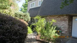 Photo #1: 225108741 Listing 