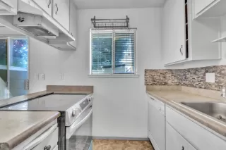 Photo #3: 225108941 Listing