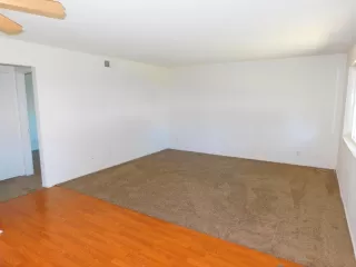 Photo #2: 225110476 Listing 