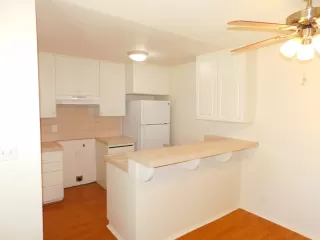 Photo #4: 225110476 Listing 