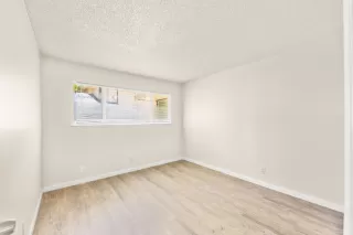 Photo #6: 225110824 Listing 