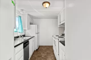 Photo #6: 225111125 Listing 