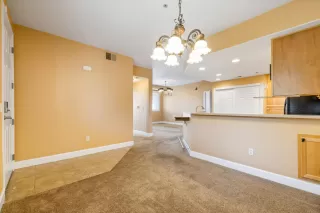 Photo #4: 225114299 Listing 