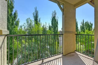 Photo #1: 225114961 Listing 