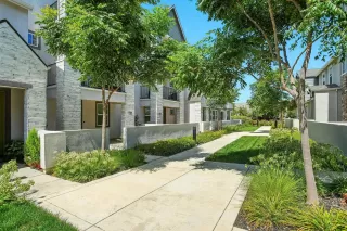 Photo #1: 225114985 Listing 