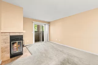 Photo #4: 225116320 Listing