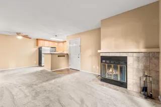 Photo #6: 225116320 Listing