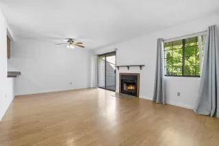 Photo #3: 225116474 Listing