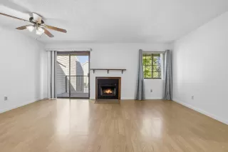 Photo #5: 225116474 Listing