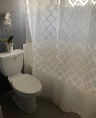 Photo #5: 225118064 Listing