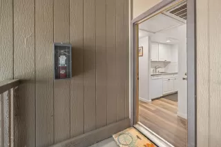 Photo #1: 225118354 Listing 