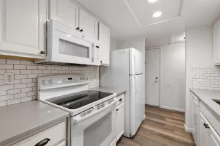 Photo #5: 225118354 Listing 