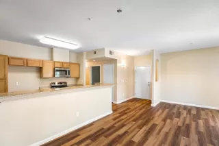 Photo #1: 225118702 Listing