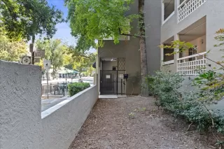 Photo #3: 225119503 Listing