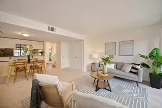 Photo #5: 225122443 Listing 