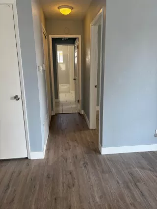 Photo #4: 225123196 Listing