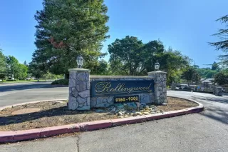 Photo #1: 225123748 Listing