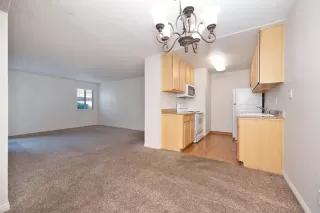 Photo #3: 225123748 Listing