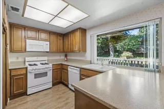 Photo #2: 225124561 Listing 