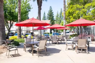 Photo #3: 225125092 Listing