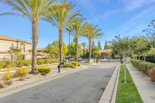 Photo #1: 225126132 Listing 