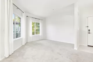 Photo #4: 225126132 Listing 