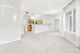 Photo #6: 225126132 Listing 