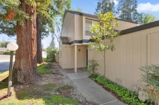 Photo #2: 225127206 Listing 