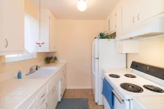 Photo #4: 225127926 Listing 