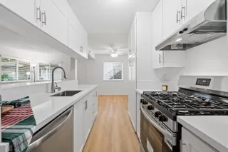 Photo #1: 225128270 Listing