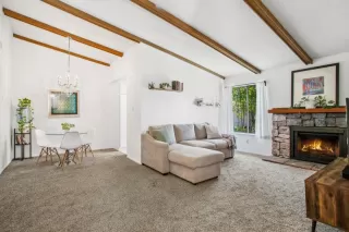 Photo #1: 225128661 Listing 