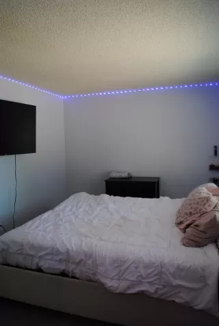 Photo #6: 225129454 Listing