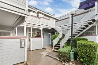 Photo #1: 225129858 Listing 