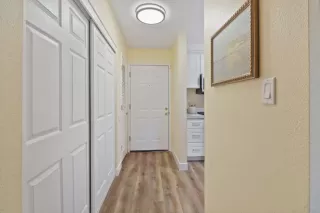 Photo #5: 225129858 Listing 