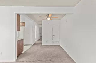 Photo #5: 225131080 Listing 