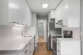 Photo #1: 225131244 Listing 