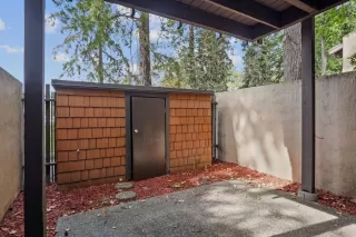 Photo #6: 225131244 Listing 