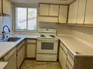 Photo #1: 225131695 Listing