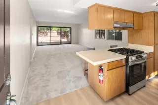 Photo #1: 225131766 Listing 