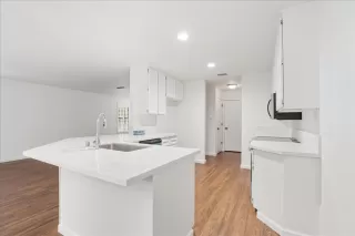 Photo #2: 225132327 Listing 