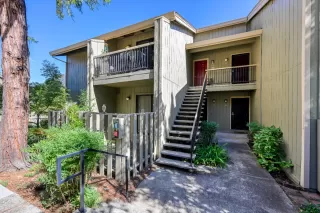 Photo #1: 225132569 Listing 