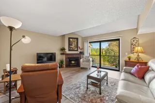 Photo #3: 225132569 Listing 