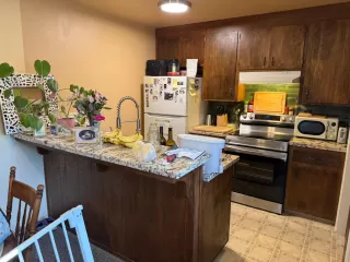 Photo #3: 225133150 Listing 