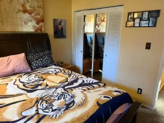 Photo #5: 225133150 Listing 