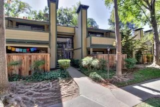 Photo #1: 225133484 Listing 