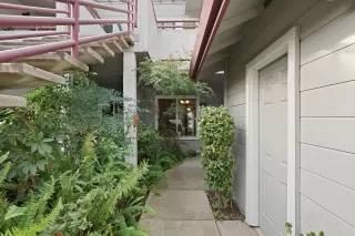 Photo #2: 225133544 Listing 