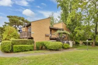 Photo #2: 225133567 Listing 